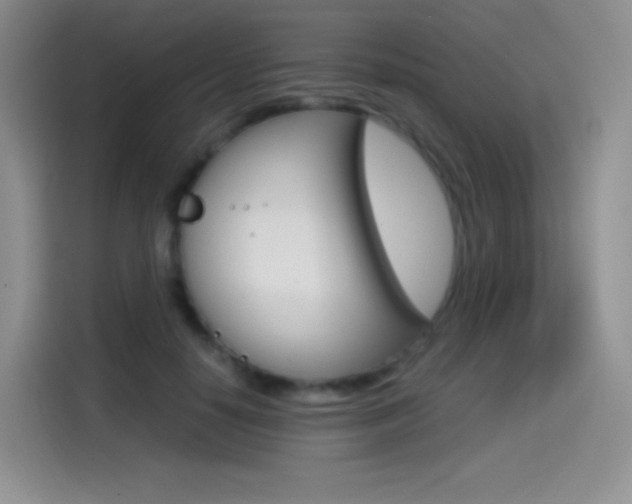 X0000114600650200910191055