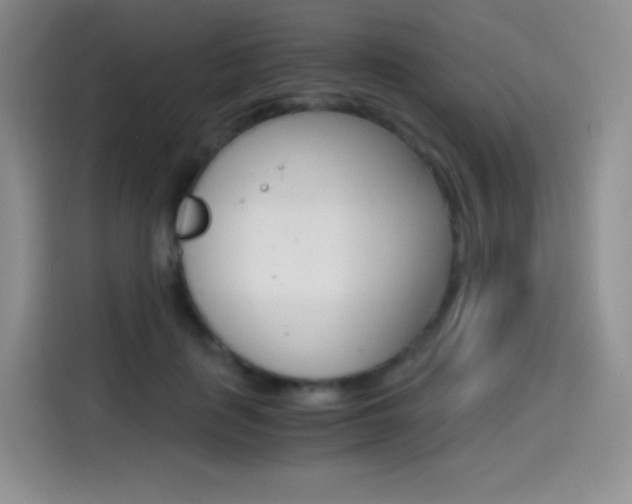 X0000114600651200910191055