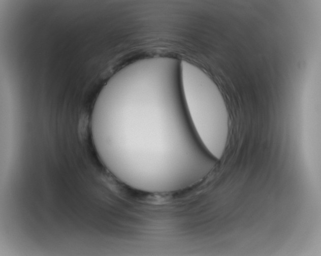 X0000114600660200910191055