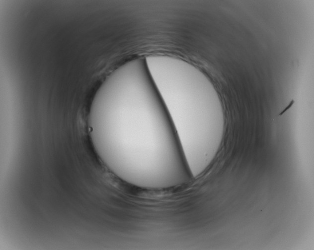 X0000114600661200910191055