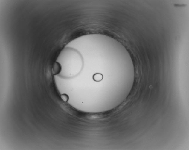 X0000114600662200910191055