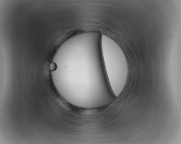 X0000114600664200910191055