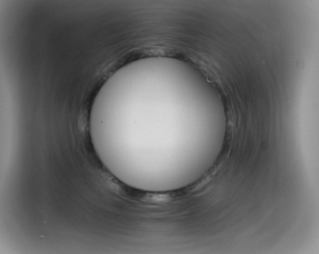 X0000114600665200910191055