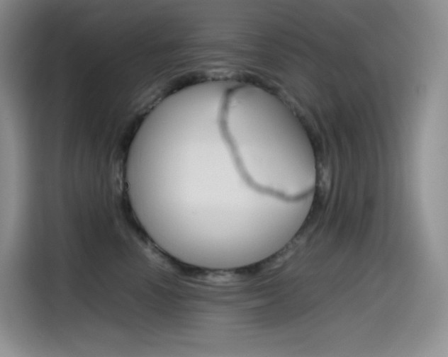 X0000114600666200910191055