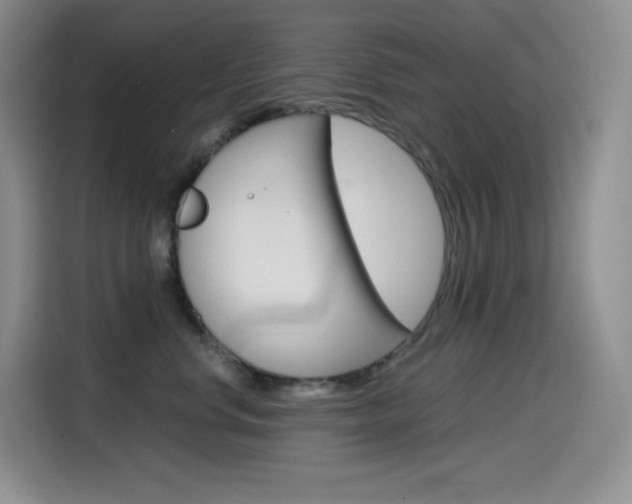 X0000114600668200910191055