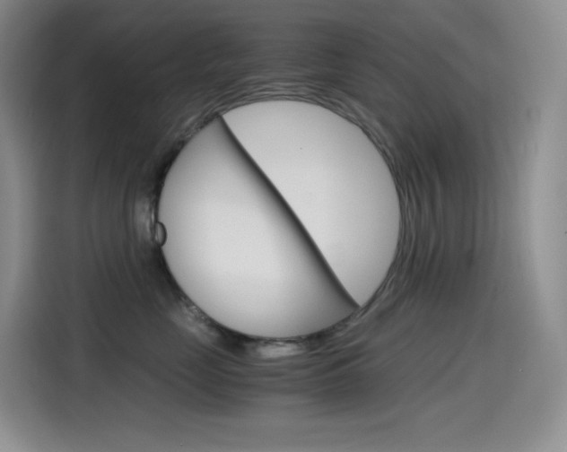 X0000114600669200910191055