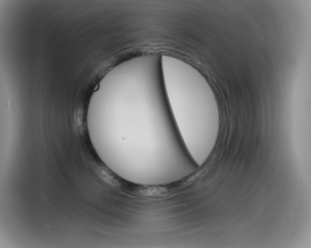 X0000114600670200910191055