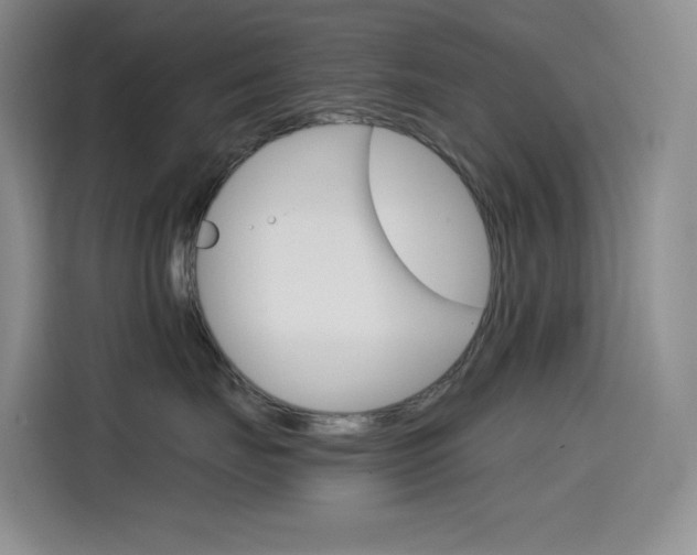 X0000114600671200910191055