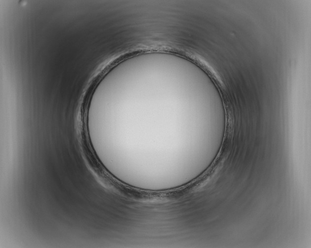 X0000114600674200910191054
