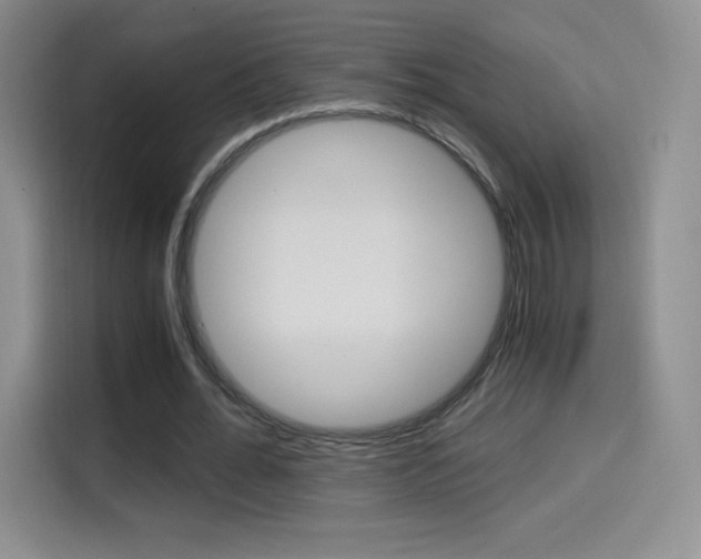 X0000114600676200910191054
