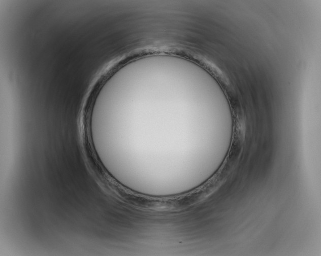 X0000114600678200910191054