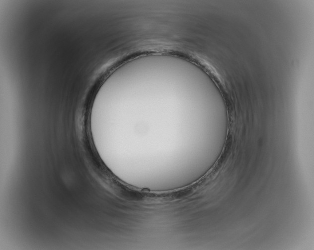 X0000114600679200910191054