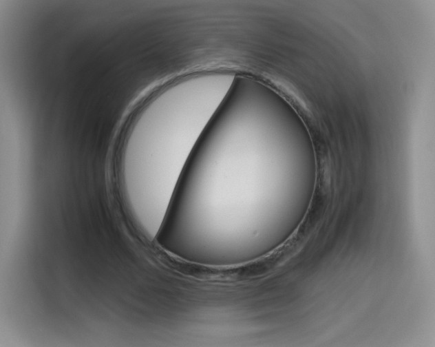 X0000114600680200910191054