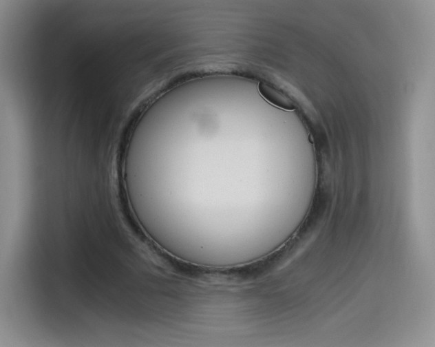 X0000114600681200910191054