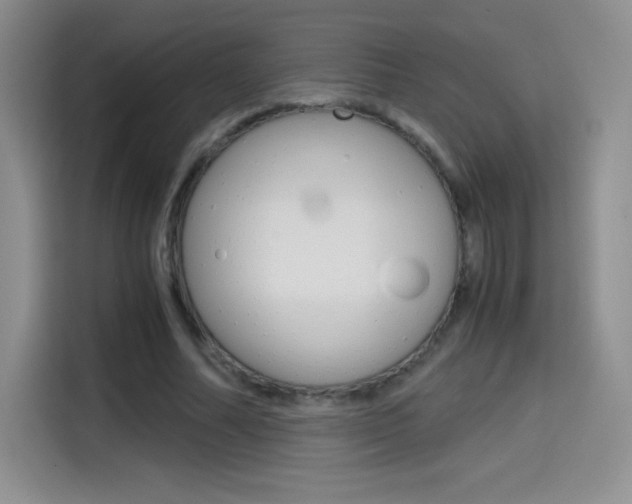 X0000114600682200910191054
