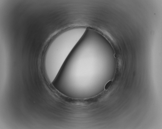 X0000114600684200910191054
