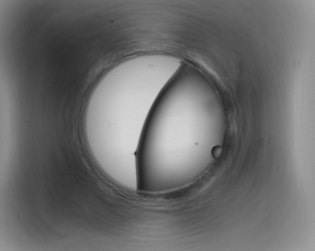 X0000114600685200910191054