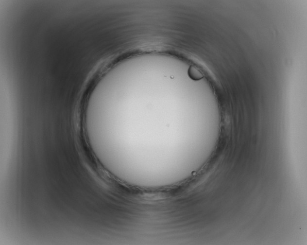X0000114600686200910191054
