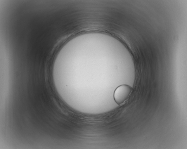 X0000114600688200910191054