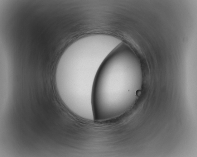X0000114600689200910191054