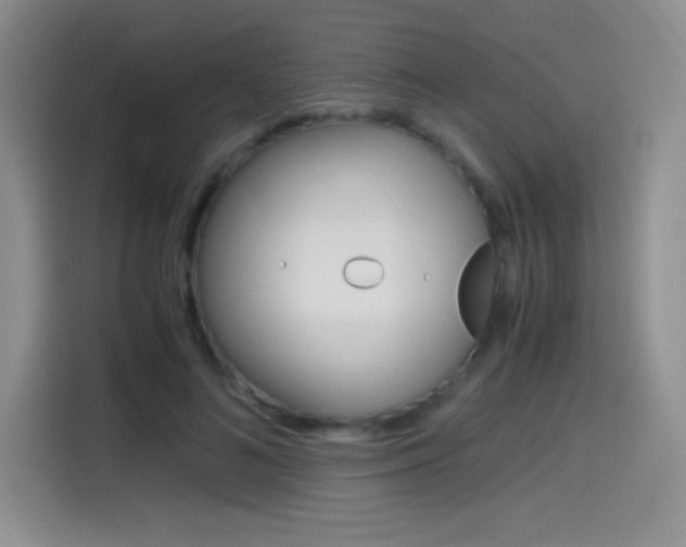 X0000114600692200910191054