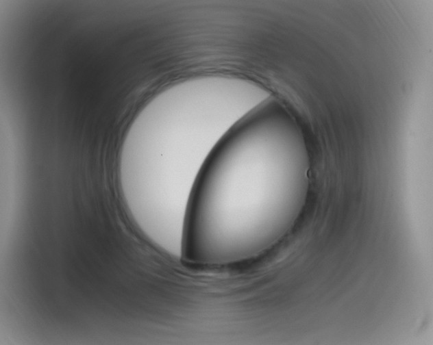 X0000114600693200910191054