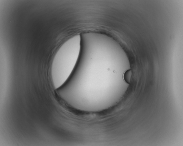 X0000114600695200910191054