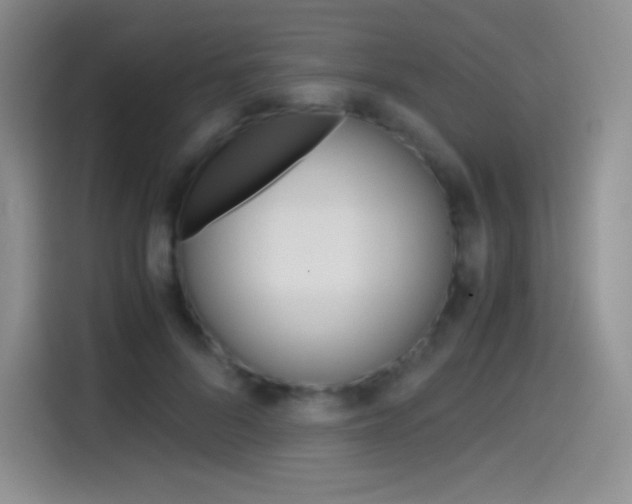 X0000114600696200910191054