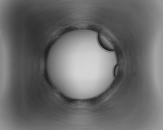 X0000114600697200910191054