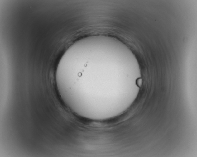 X0000114600699200910191054