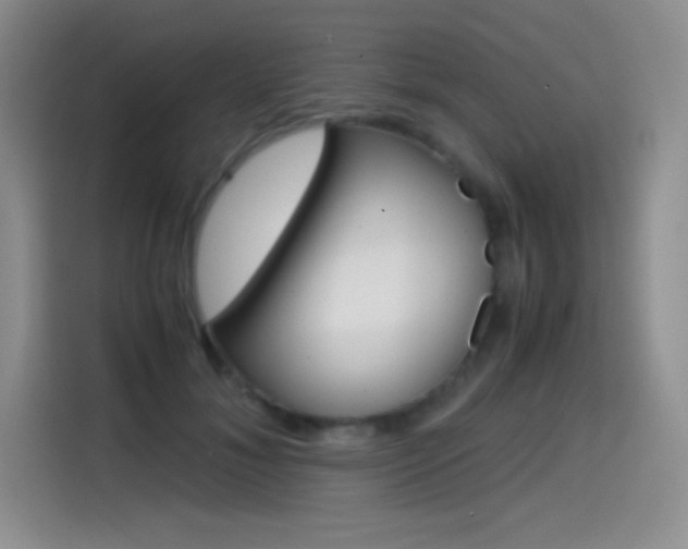 X0000114600700200910191054