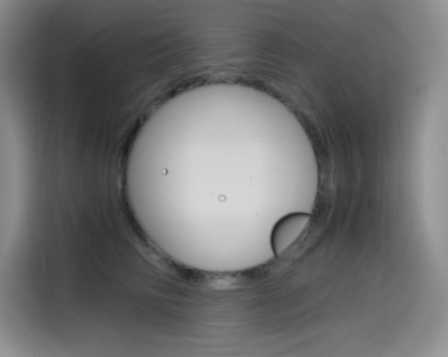 X0000114600710200910191054