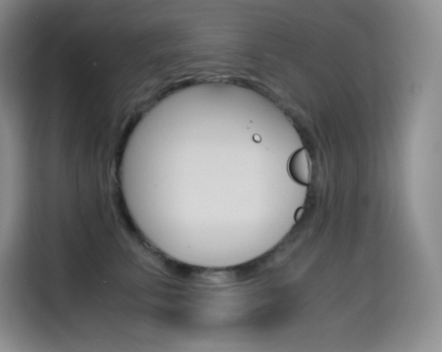 X0000114600711200910191054