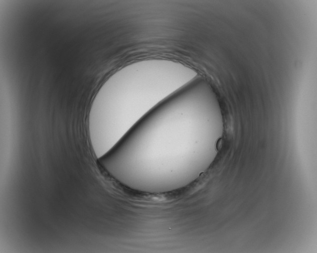 X0000114600715200910191054