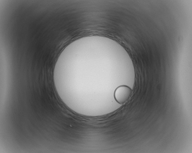 X0000114600716200910191054