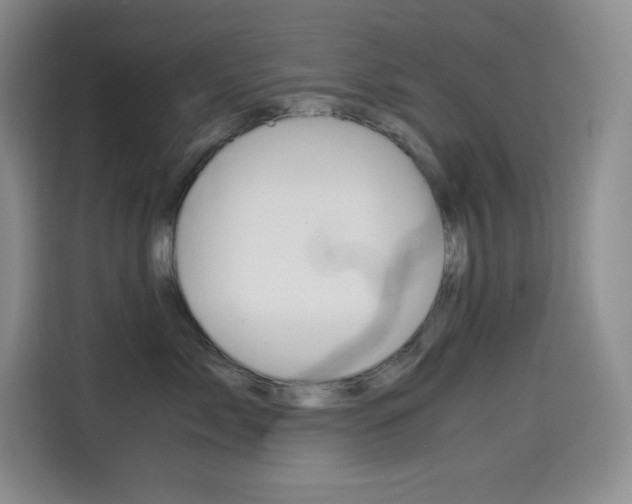 X0000114600717200910191054