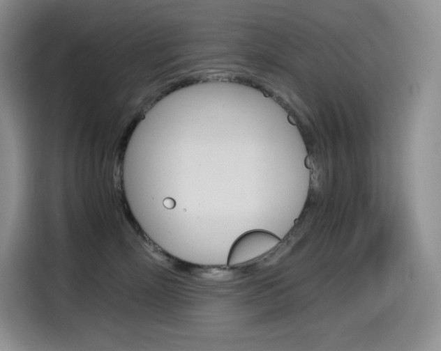 X0000114600718200910191054