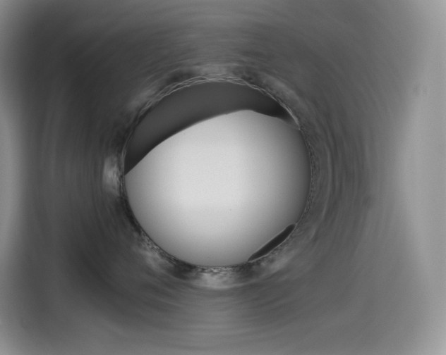 X0000114600720200910191054