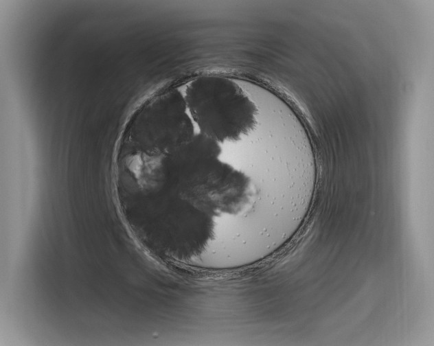 X0000114600721200910191053
