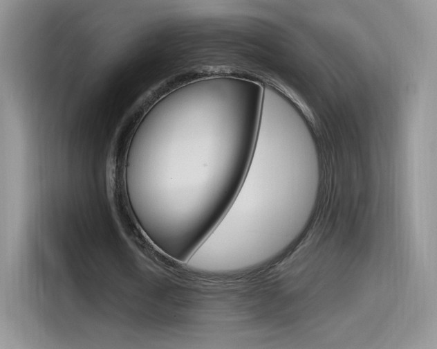 X0000114600722200910191053