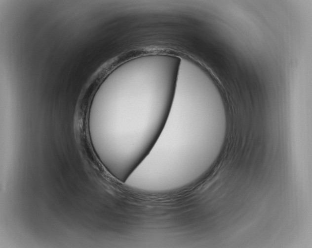 X0000114600723200910191053
