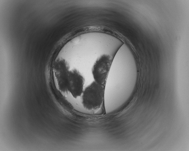 X0000114600725200910191053