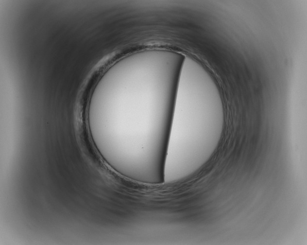 X0000114600727200910191053