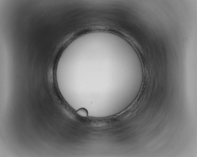 X0000114600729200910191053