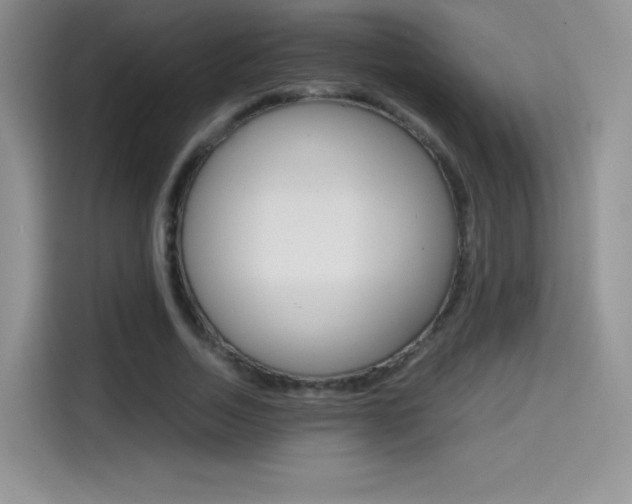 X0000114600730200910191053