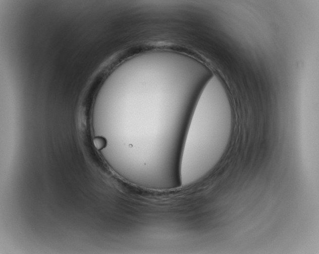 X0000114600731200910191053