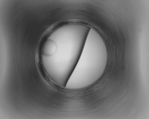 X0000114600734200910191053