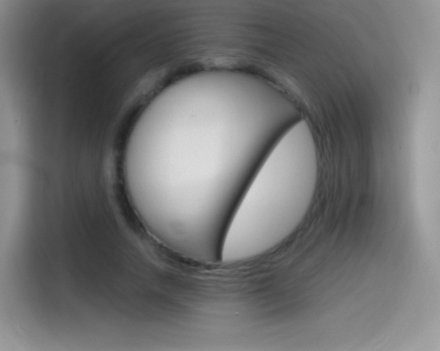 X0000114600738200910191053