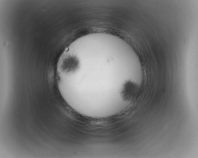 X0000114600745200910191054