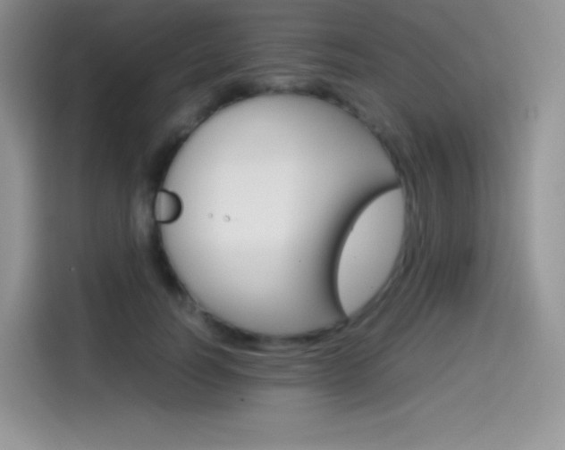 X0000114600746200910191054